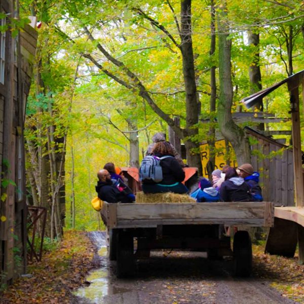 hayride