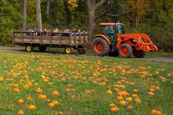 hayride